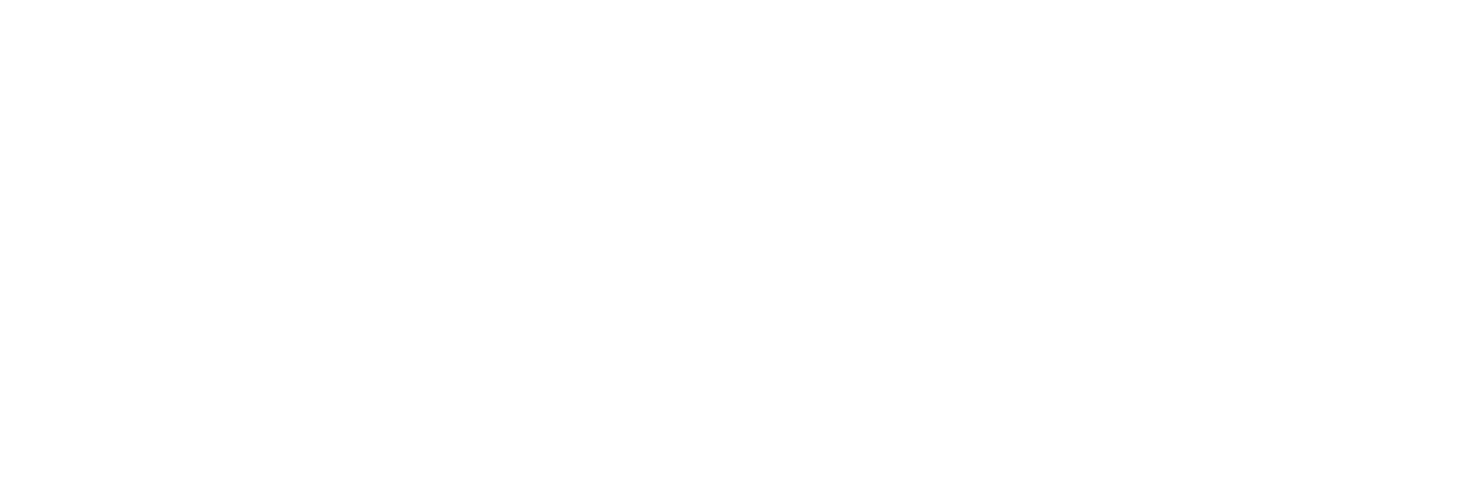 IPA - Logo - Main - White